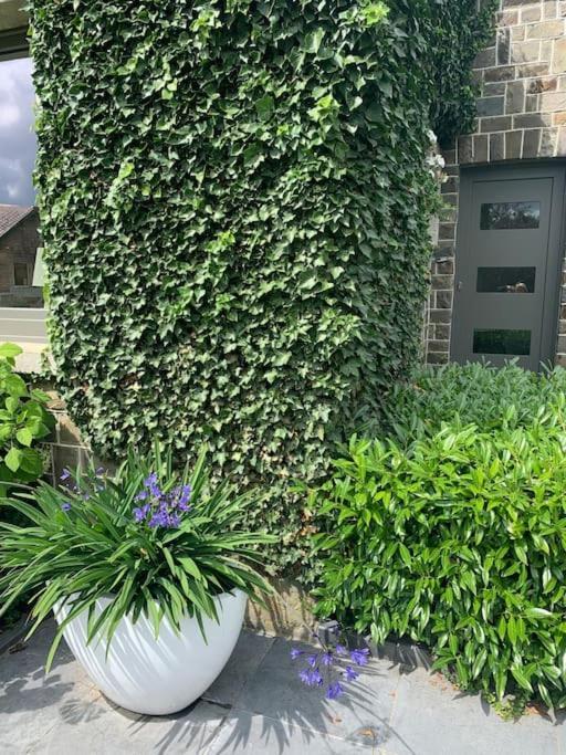 Apartament Les Rhododendrons Waimes Zewnętrze zdjęcie